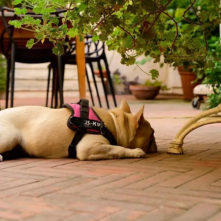 Mimma Bed&flavour Bed and breakfast 3*