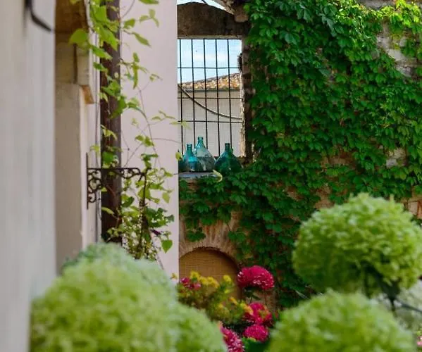 Bed & Breakfast Mimma Bed&flavour 3*