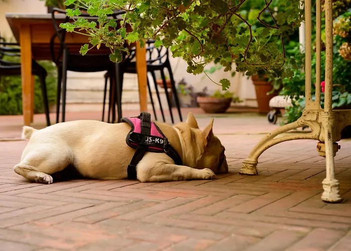 Mimma Bed&flavour Bed & Breakfast 3*